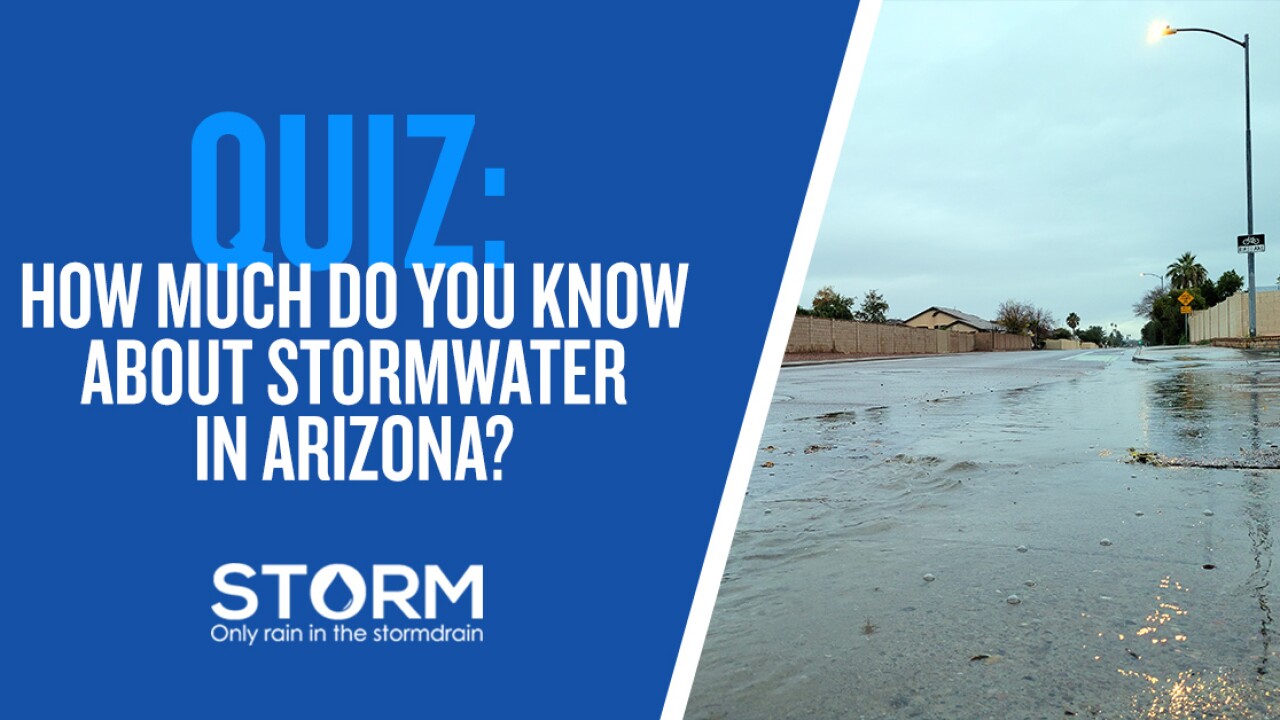 STORM Quiz 2024 