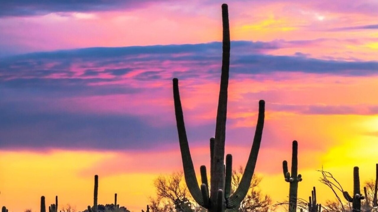 Sunset pretty desert weather