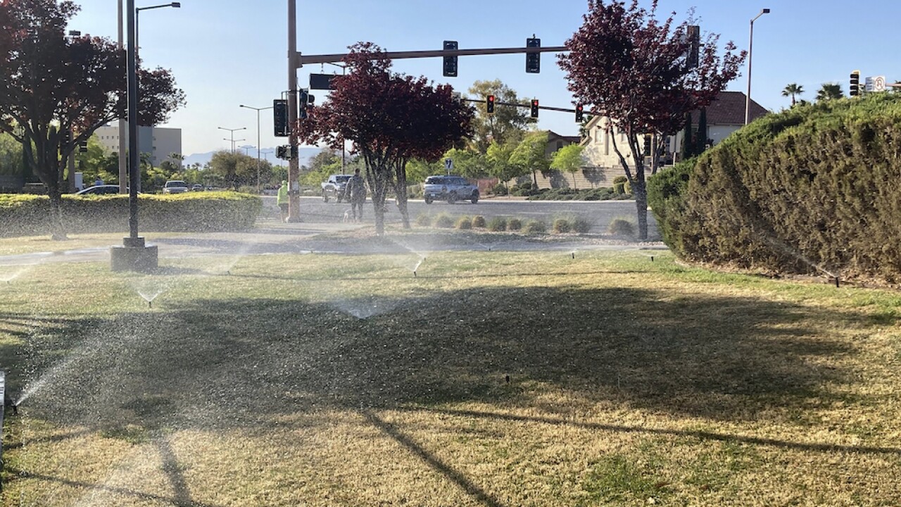 Watering grass