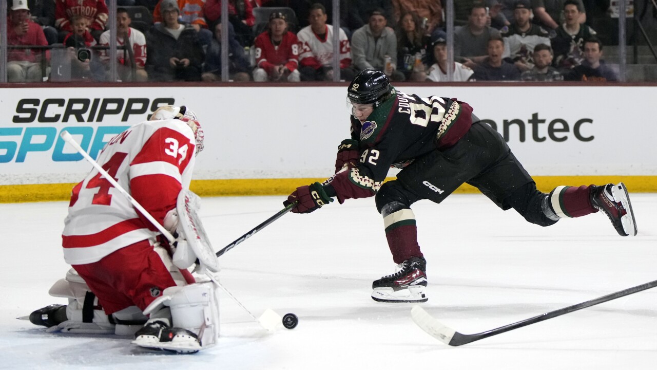 Red Wings Coyotes Hockey