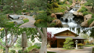 Japanese Friendship Gardens 2.png