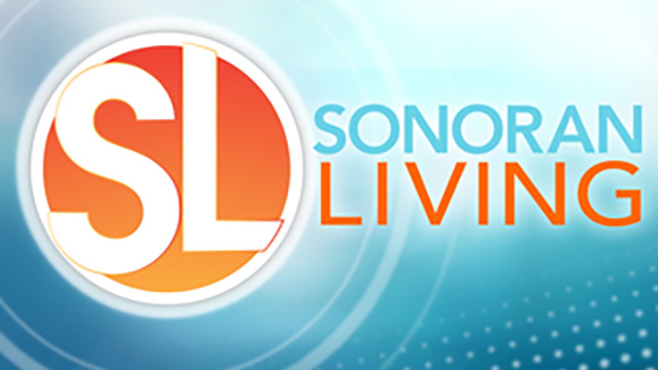 KNXV Sonoran Living logo