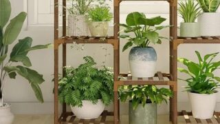 The 7 Best Plants Stands For Every Style And Space