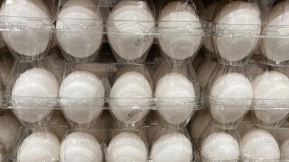 Egg Prices